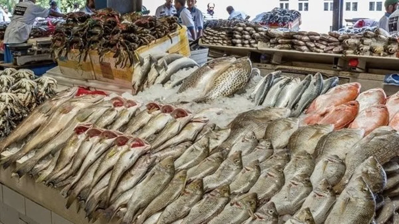 تباين أسعار السمك في سوق العبور اليوم الخميس 27 نوفمبر 2025 يعكس تقلبات الطلب والعرض